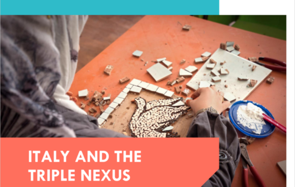 cover report triple nexus EN